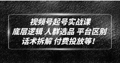 底层逻辑《视频号起号实战课》话术拆解，付费投放网赚项目-副业赚钱-互联网创业-资源整合歪妹网赚